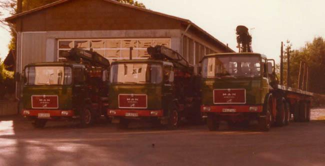 fp1980.jpg (24704 Byte)